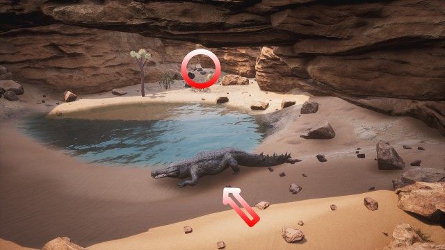 Crocodile