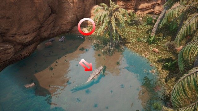 Crocodile