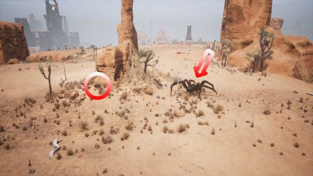 Spider