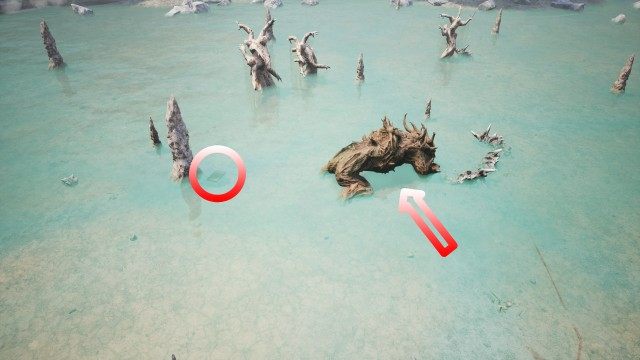 Rotbranch