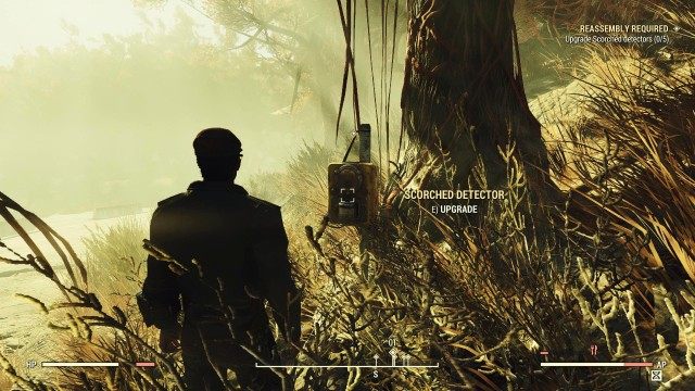 Upgrade Scorched detectors (x/5)