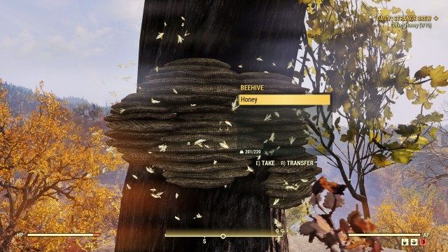 Collect Honey (x/10)