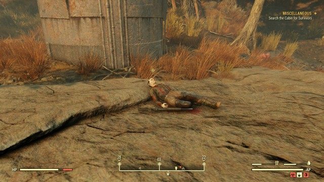 Search the Cabin for Survivors