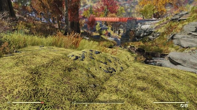 Forest Treasure Map #08