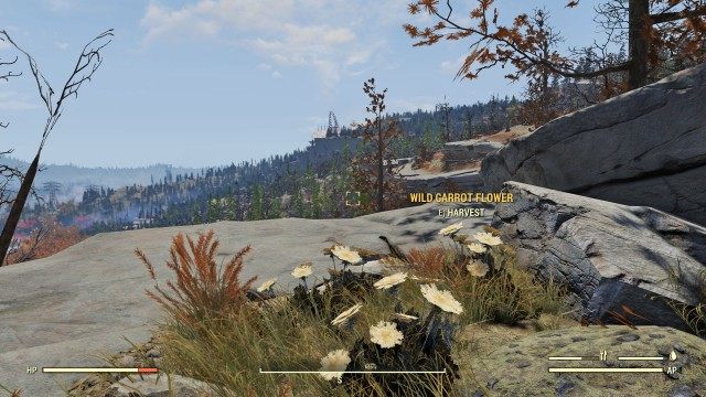 Savage Divide Treasure Map #09