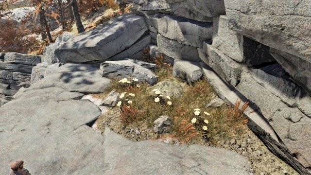Savage Divide Treasure Map #09