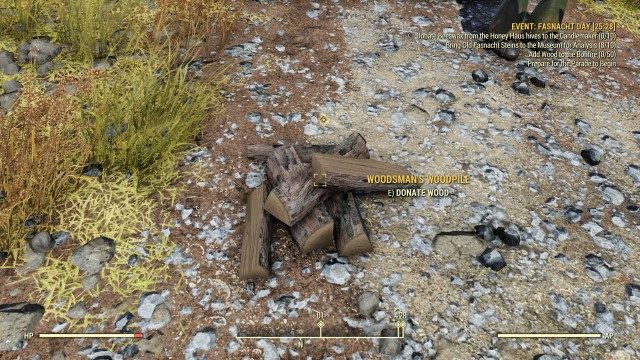 Add Wood to the Bonfire (x/50)