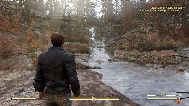 Track the animal by searching the stream for signs