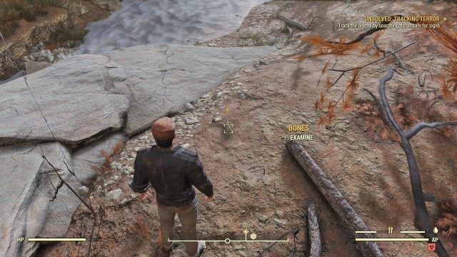 Track the animal by searching the stream for signs