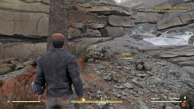 Track the animal by searching the stream for signs