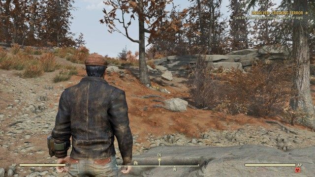 Track the animal by searching the stream for signs