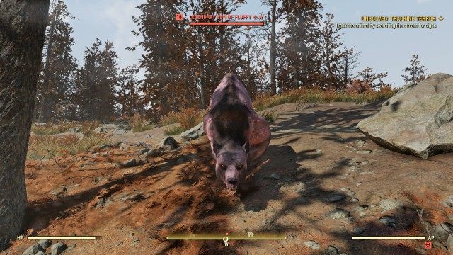Track the animal by searching the stream for signs