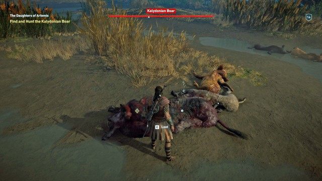 Find and Hunt the Kalydonian Boar
