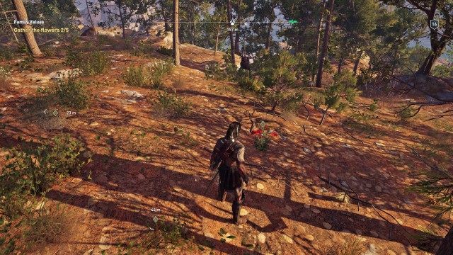Gather the flowers 0/5