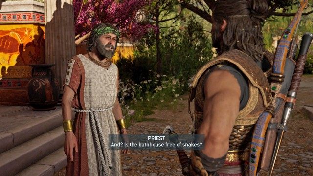 Report to Pylenor
