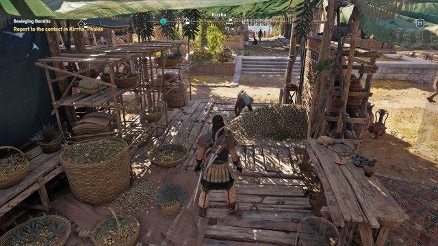 Report to the contact in Kirrha, Phokis