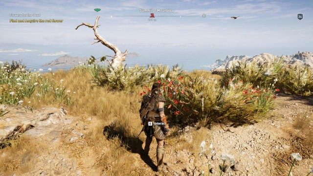 Find and Acquire the red flower