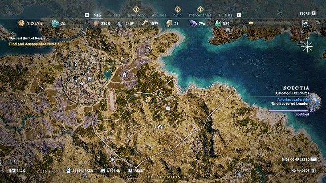 Find and Assassinate Nesaia