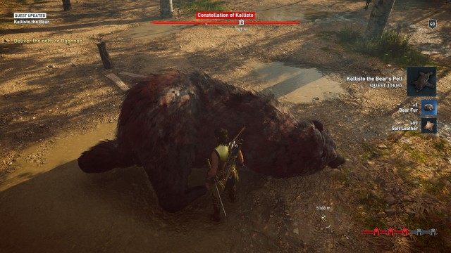 Find and Hunt Kallisto the Bear