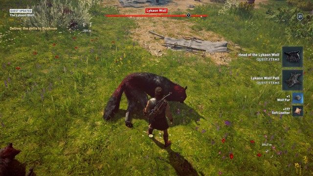 Find and Hunt the Lykaon Wolf