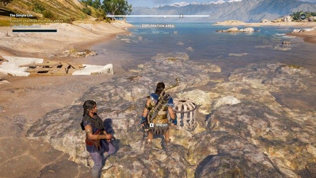 Collect shellfish from the shore