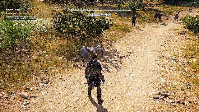 Investigate the area for Neema's trail