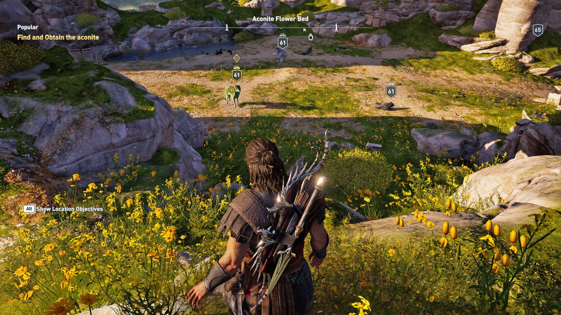 Popular Assassin S Creed Odyssey Quest