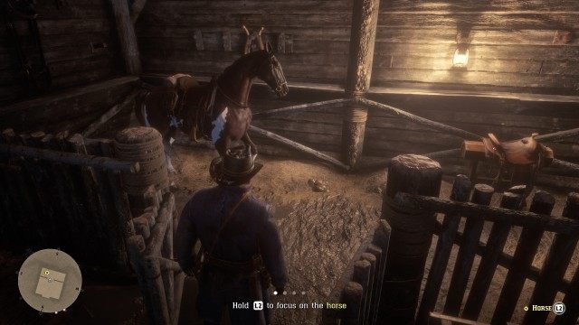 Focus on / Calm / Approach / Pat / Lead the horse