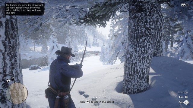 Hunt for deer