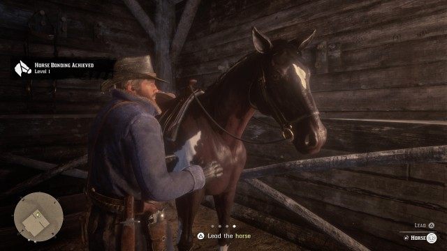 Focus on / Calm / Approach / Pat / Lead the horse