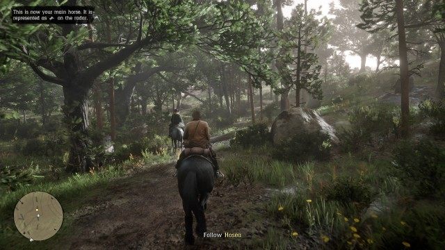 Mount your horse / Follow Hosea