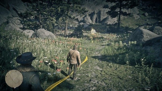 Activate the Eagle Eye to find the trail / Follow the trail / Investigate the clues