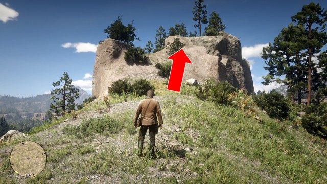 Use the Map to search for the treasure