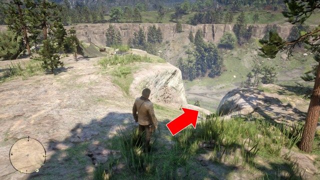 Use the Map to search for the treasure
