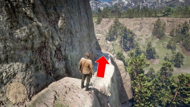 Use the Map to search for the treasure