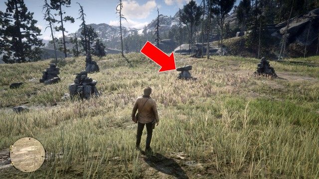 Use the Map to search for the treasure