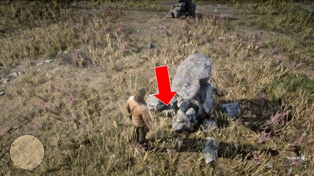 Use the Map to search for the treasure