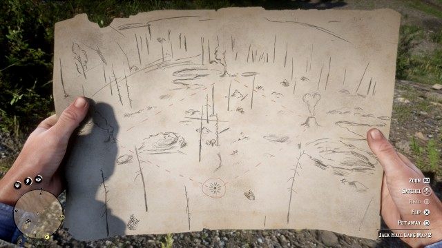 Use the Map to search for the treasure