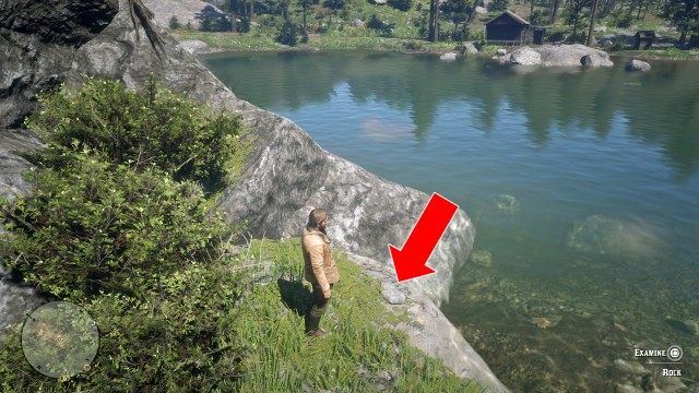 Use the Map to search for the treasure