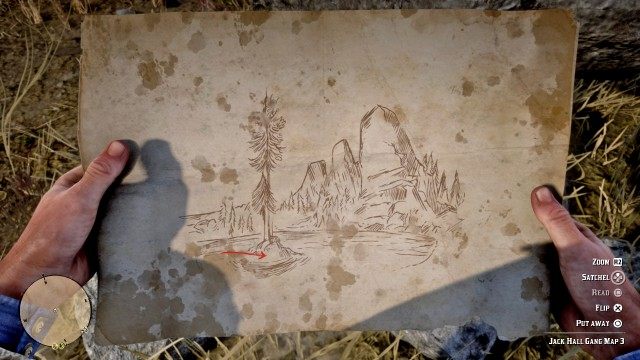 Use the Map to search for the treasure
