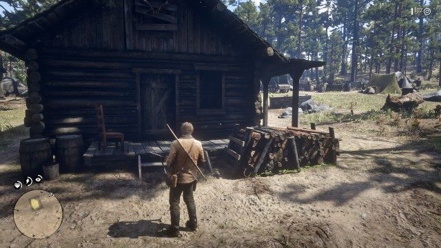 Search the cabin