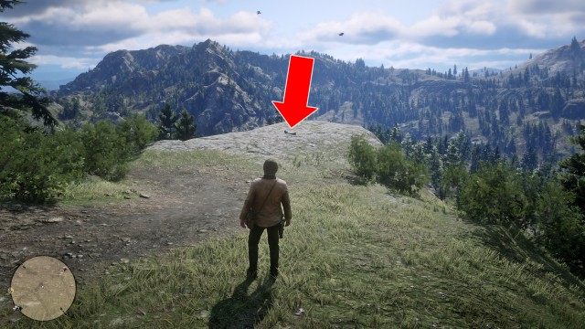 Big Valley Beryl's Dream Overlook