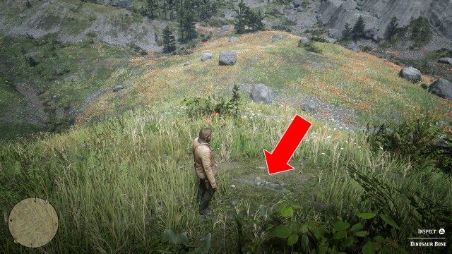Grizzlies Northern Boundary