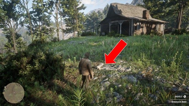 Heartlands Abandoned Shack