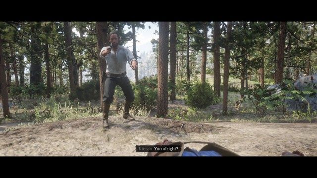 Search the cabin