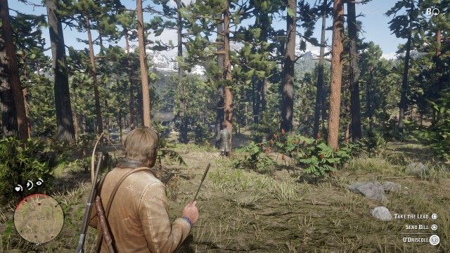 Take out the O'Driscolls