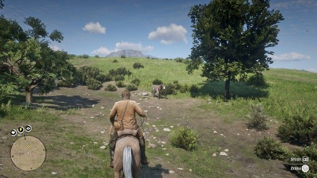 Capture or calm the zebra