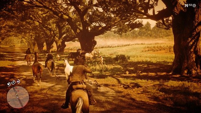 Escort Javier and the horses