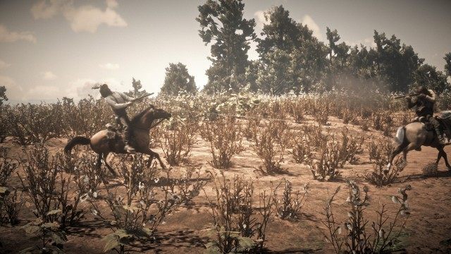 Escort Javier and the horses
