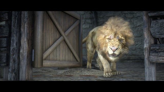 Find the lion